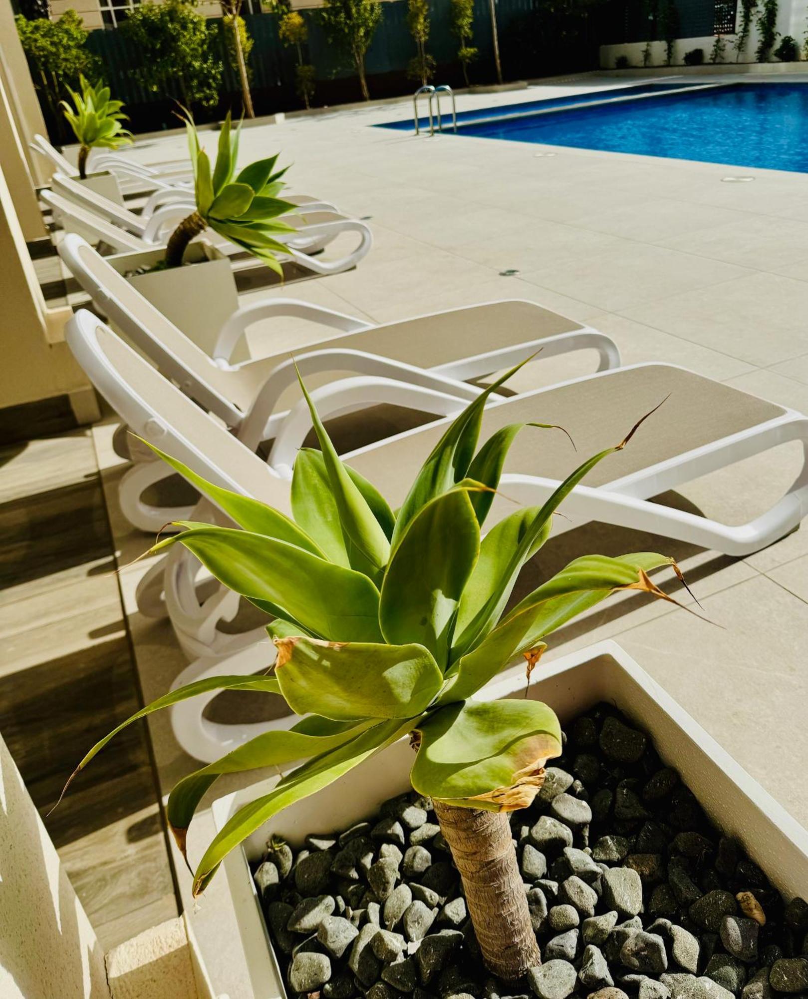 Calpe Beach II - Sea & Pool View Apartment エクステリア 写真